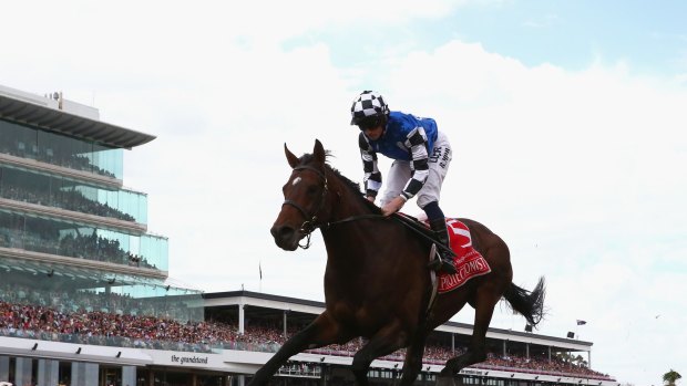 2014 Melbourne Cup winner Protectionist