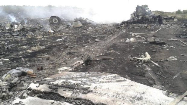 The site of the Malaysia Airlines Boeing 777 plane crash in the settlement of Grabovo in the Donetsk region.