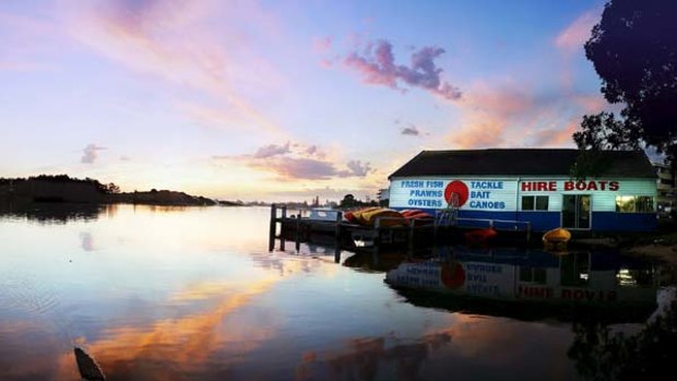 Life aquatic ... sunset on Wallis Lake.