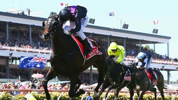 Fiorente's Melbourne Cup win was great for the punters, but that's only half the story.