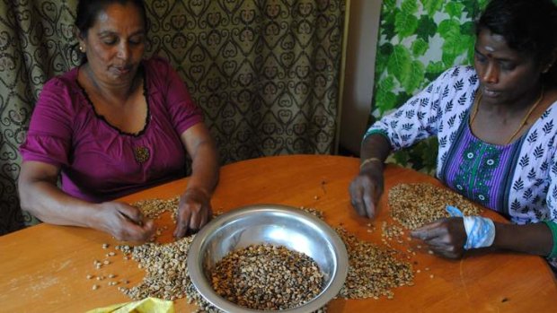 Local workers sorting the grit from coffee beans.