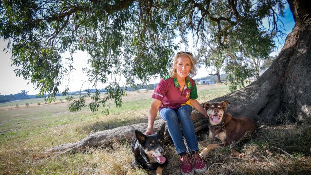 Dog trainer Trish Harris says mollycoddling a dog can turn a good dog bad.