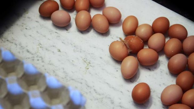 Scrambled ... Choice and the RSPCA were excluded from formal talks on how free-range eggs should be labelled.