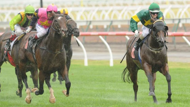 Confident: Brenton Avdulla steers Snitzerland home to victory.