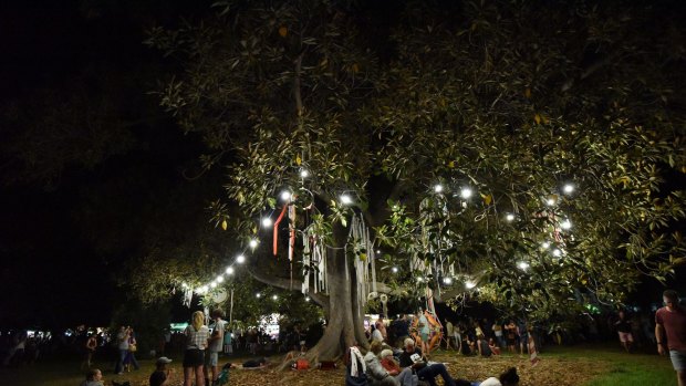 WOMAD was held under the trees in Adelaide's Botanic Park.