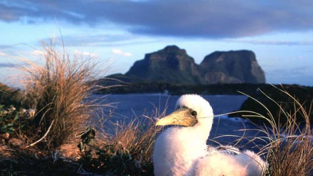Feathers ruffled ... the Shooters and Fishers Party’s bill has been called a quid pro quo. Lord Howe Island is among Australia’s finest marine parks.
