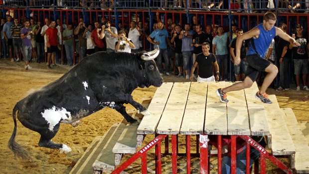 Raton, Spain's most feared bull and killer of three men, is set for his last fight.