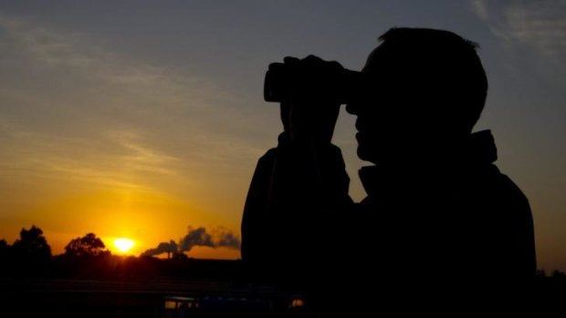 Watchful eye: Chris Waller at Rosehill trackwork as one of his 120 charges come on to the surface.