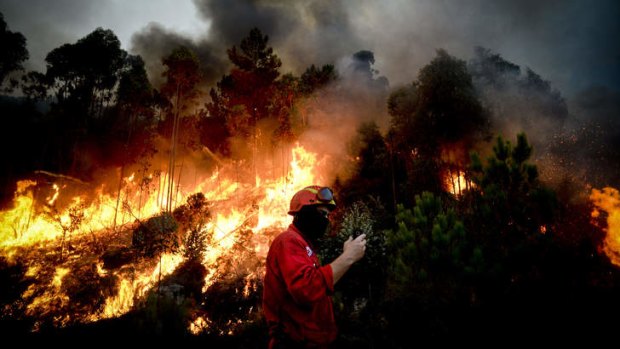 A firefighter battles a blaze in Talhadas, near Oliveira de Frades, central Portugal.