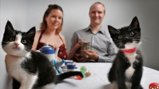 Australia's first cat cafe opened in Melbourne last year.