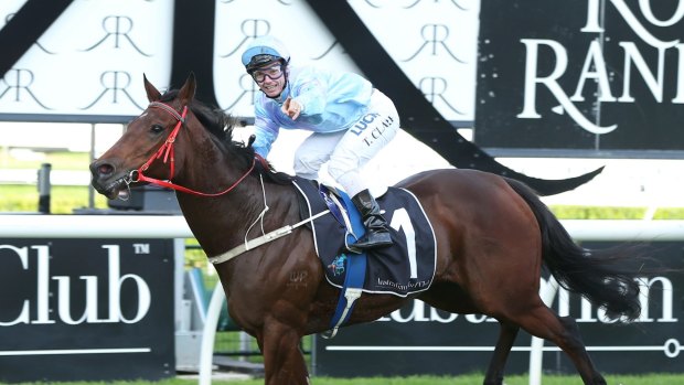Loves the slop: Avoid Lightning and Tim Clark will relish the wet at Randwick.