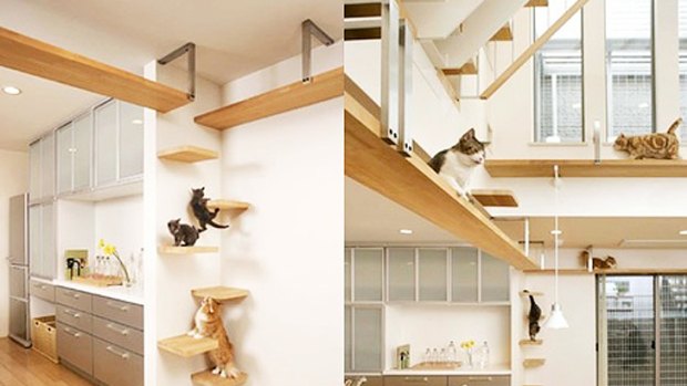 The Plus-Nyan cat house by Asahi Kasei