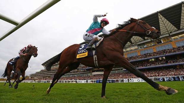 Tom Quealy on Frankel crosses the line to win the Champion Stakes at Ascot.