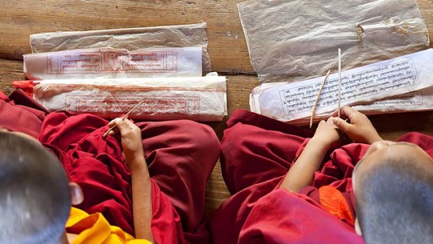 Young monks studying.