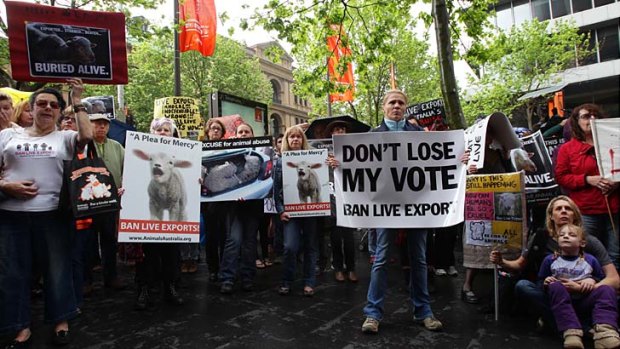 Crowds in Martin Place protest against live animal exports.  today.