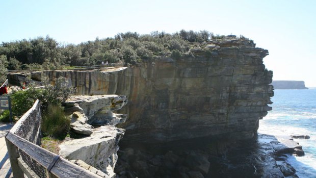 The notorious coastal cliff known as The Gap at Watsons Bay, where Nellie Bishop miraculously beat death.