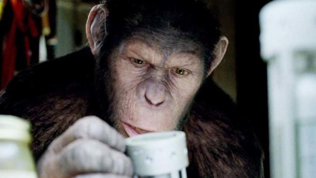 Monkey business ... Andy Serkis as Caesar.