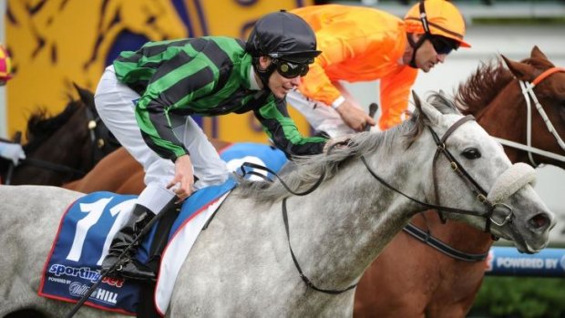 Gris Caro, Ben Melham up, defeats Entirely Platinum, piloted by Dwayne Dunn, to win the Naturalism Stakes at Caulfield on Saturday.