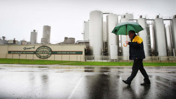 Raining offers: A Warrnambool Cheese &amp; Butter worker outside the Allansford factory.