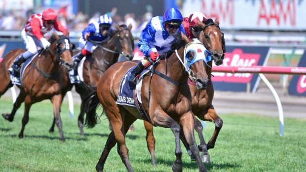 High hopes: Dear Demi will target the Caulfield Cup in the spring.