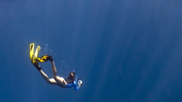 Swimming with humpback whales in Tonga.