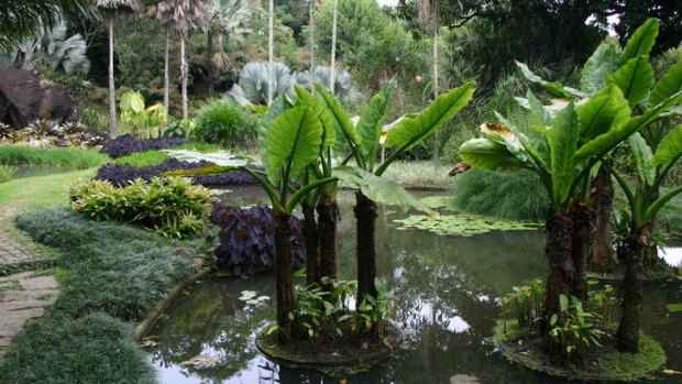 Roberto Burle Marx's garden outside Rio de Janeiro.
