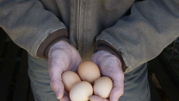 New definition of free-range eggs could be delayed, pending public comment.