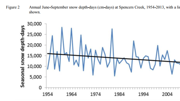 Reduced average snow depth at Spencers Creek in the Snowy Mountains.