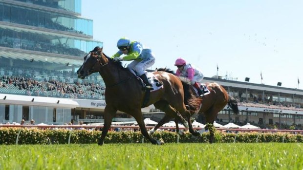 Unusual preparation: Oakleigh Girl, seen here winning on debut on Melbourne Cup day last year, heads into Saturday's Golden Slipper having not raced since January.