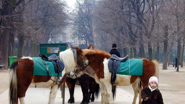 Horseplay . . . pony rides in the Jardin du Luxembourg are a quintessential Paris experience.