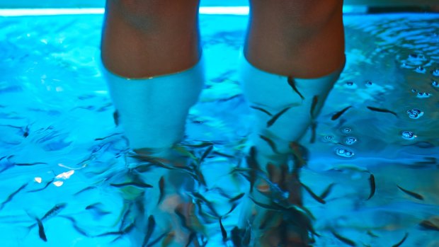 Let fish nibble at your feet. 