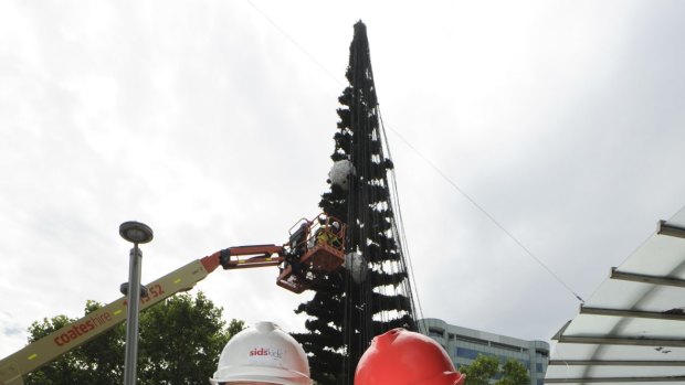 Volunteers Geoff Harding of Mawson, left and Rex Hall of Scullin, are helping to bring the potentially world-record-breaking Christmas tree lights to life in City Walk.
