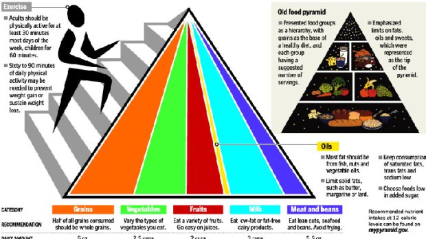Confusing ... the old food pyramid guidelines are out ...