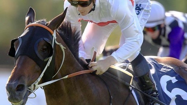 Strong chance: Messene will have Corey Brown on board in Saturday's Doncaster.
