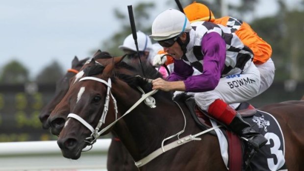 What's in a name: Danleigh won the 2011 Chipping Norton Stakes.