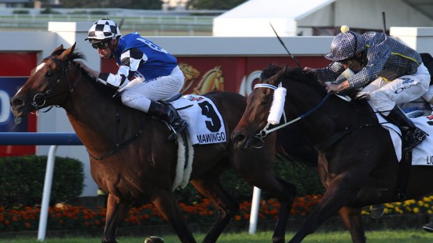 Nash Rawiller riding on Mawingo wins from Damian Oliver, right, riding on Lights of Heaven in the Kirks Doomben Cup last month.