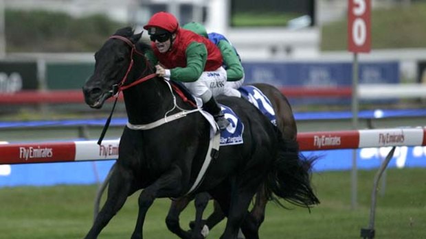 Breakthrough ... Hot Danish and Tim Clark win the group 1 All Aged Stakes at Randwick in the autumn.