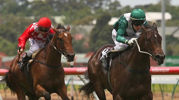 Flying start: Samaready leads home third-placed Alzora in the Spotless Plate at Flemington in December.