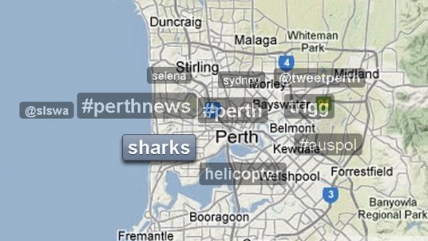 After a Surf Life Saving WA helicopter spotted 100 sharks off Trigg Beach on March 19, "sharks", "@slswa", "helicopter" and "trigg" began trending on Twitter.