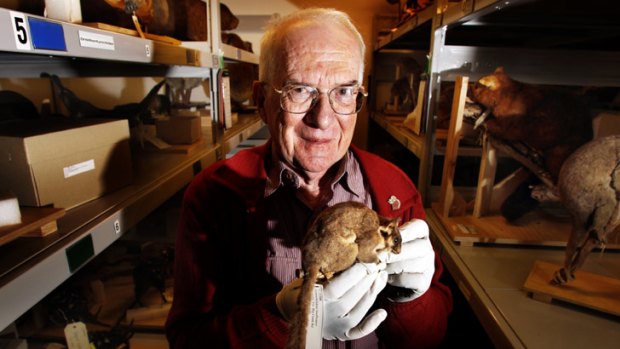 Saviour of the Leadbeater’s possum, Eric Wilkinson, is to be feted at an official ceremony at the Melbourne Museum.