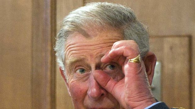 Prince Charles ... Martin Amis was surprised by his criticism of Salman Rushdie.