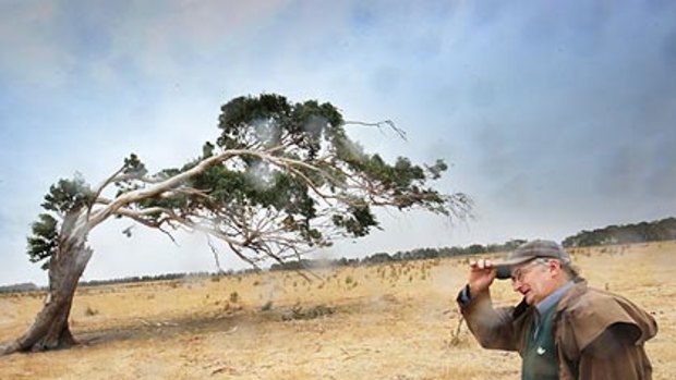 Sheep grazier alert . . . David Rowbottom struggles into the howling wind on his property near Orford in the Western Districts. Victoria is braced for another day of strong winds.