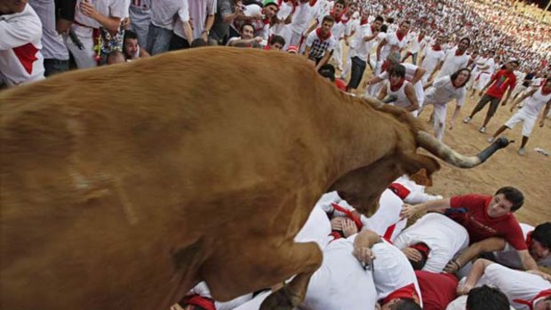 A calf jumps over revellers after the fifth run of the bulls in the bullring during the San Fermin fiesta in Pamplona northern Spain.