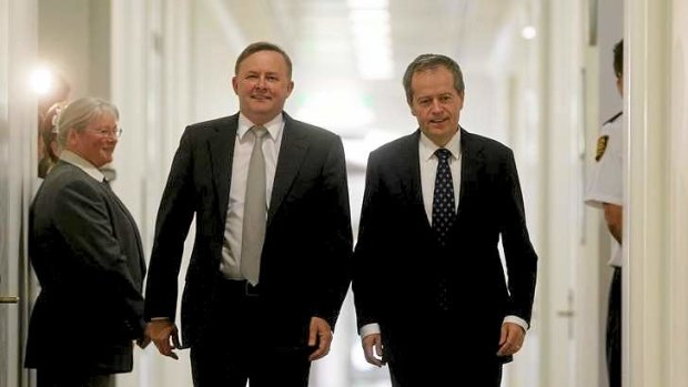 Anthony Albanese and Bill Shorten arrive together for ALP caucus leadership ballot at Parliament House.