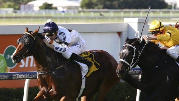 Great ride: Tye Angland boots home Time For War in the Sires’ Produce Stakes at Doomben on Saturday.
