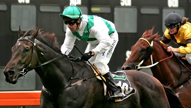 Worlds apart: Tasos, a Newcastle winner, faces a giant step up in the Schillaci Stakes.