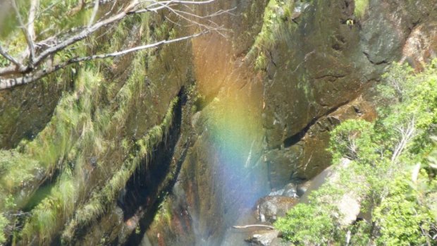 A rainbow in the gorge below Carrington Falls lookout