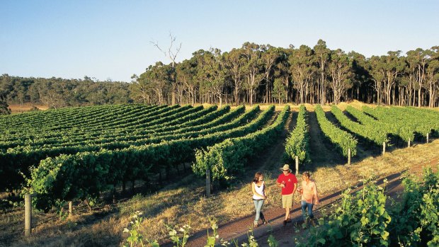 Margaret River is an iconic Australian wine region.