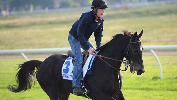 English raider Forgotten Voice is the clear standout in the Geelong Cup field.