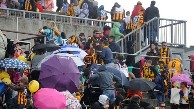 Undampened: Hawthorn fans endure the weather waiting for the final training session of 2013.
